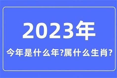 2005是什么年|2005年是什么年